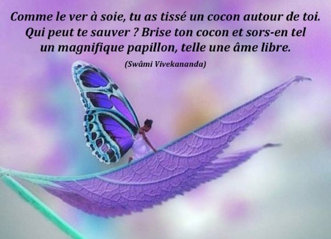 Briser son cocon comme un papillon